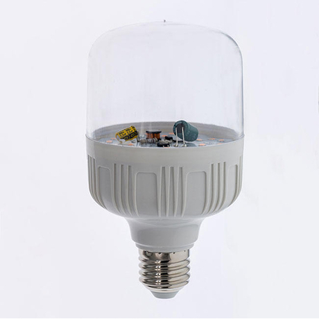LED Flowering Lamp T80